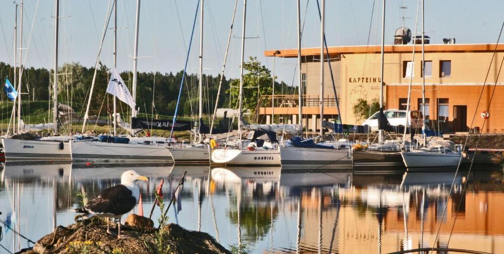 Kapteinu Osta Salacgrīva エクステリア 写真